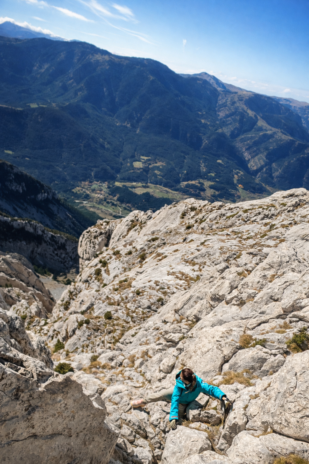 Pollo al curry amarillo con arroz · Comida liofilizada artesanal