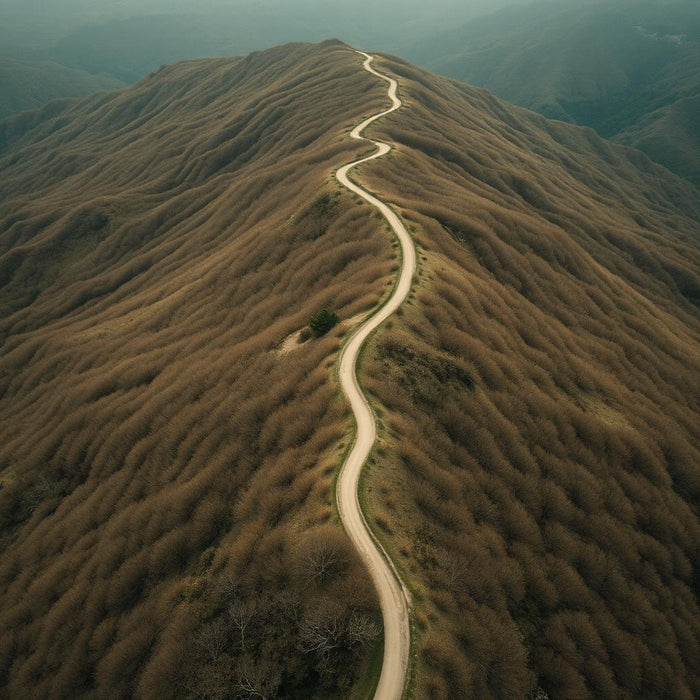 RUTAS